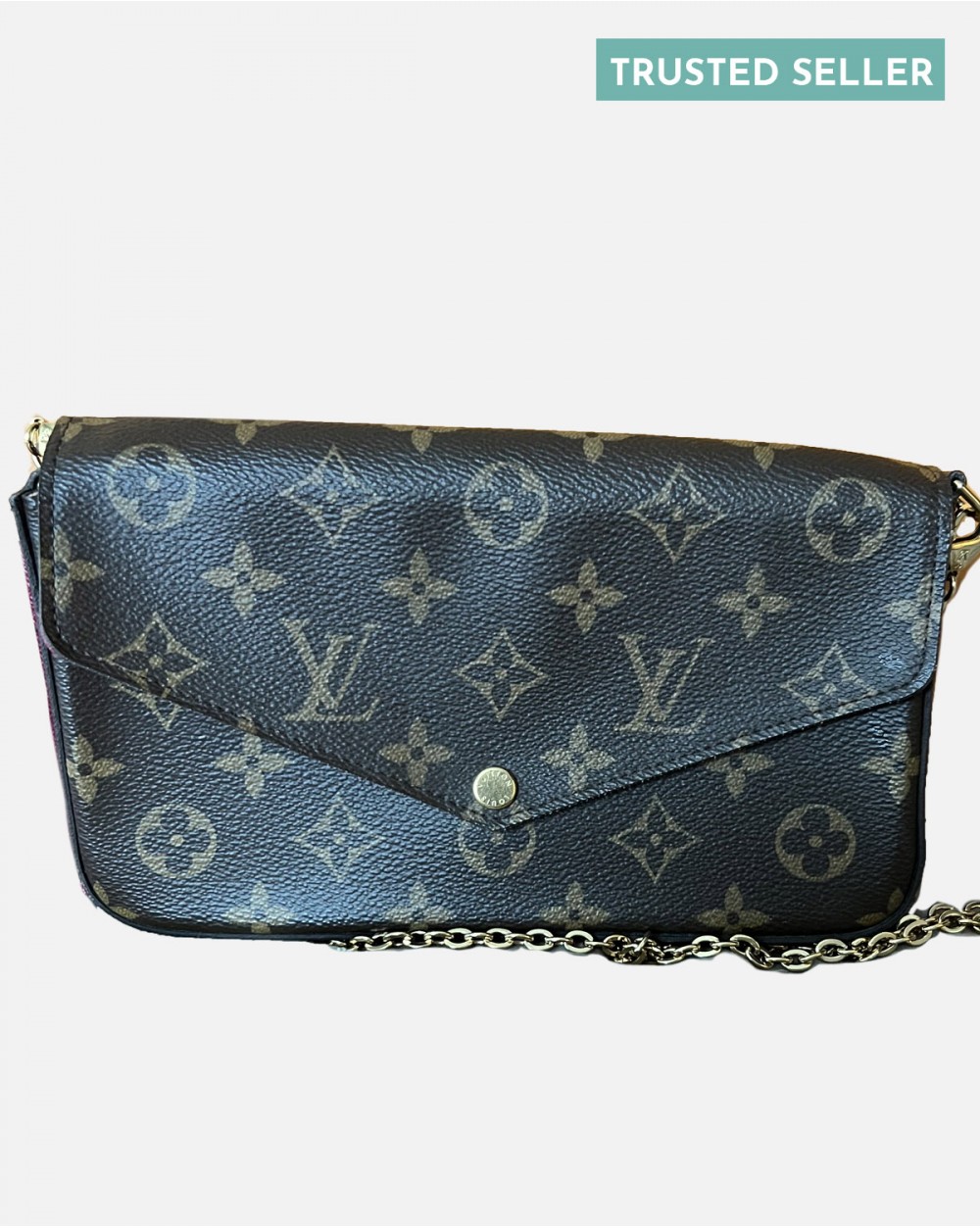 Louis Vuitton Félicie Pochette bag