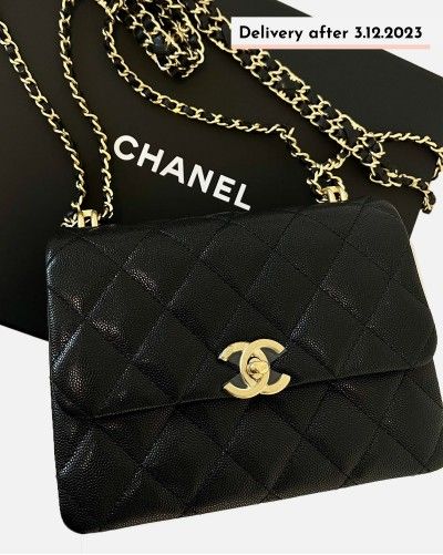 Chanel Classic Mini Bag