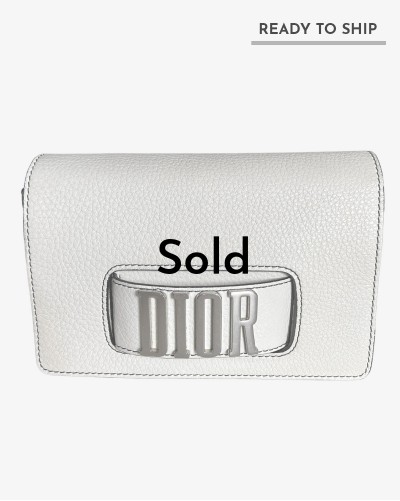 Dior Dio(r)evolution bag