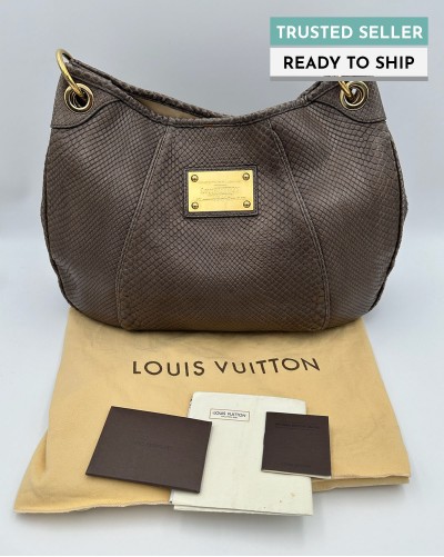 Louis Vuitton Galliera PM bag
