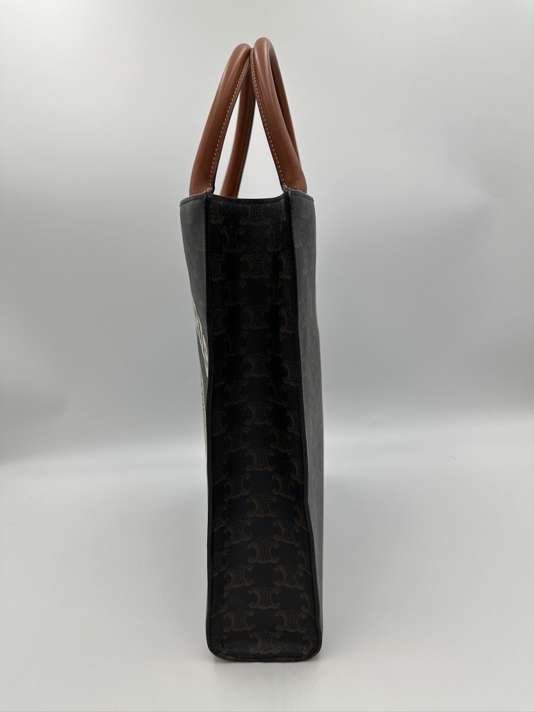 Small Triomphe Vertical Cabas