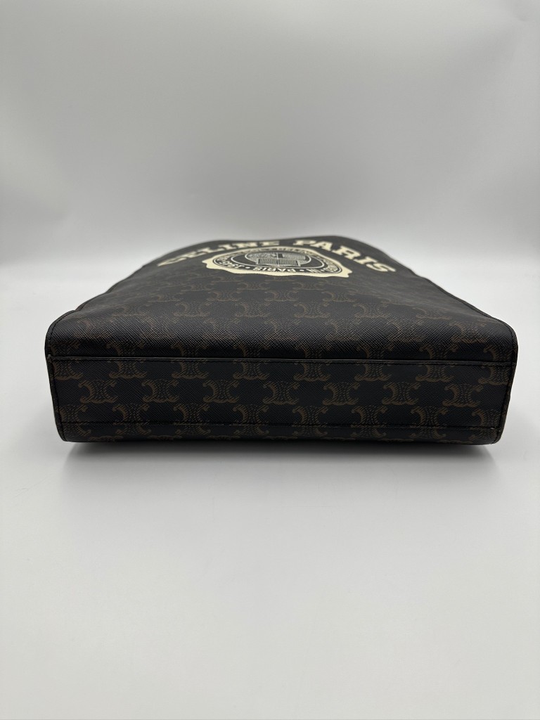Small Triomphe Vertical Cabas bag