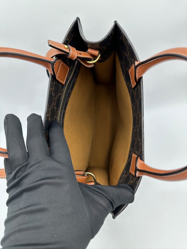 Small Triomphe Vertical Cabas bag
