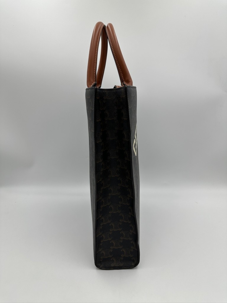 Small Triomphe Vertical Cabas