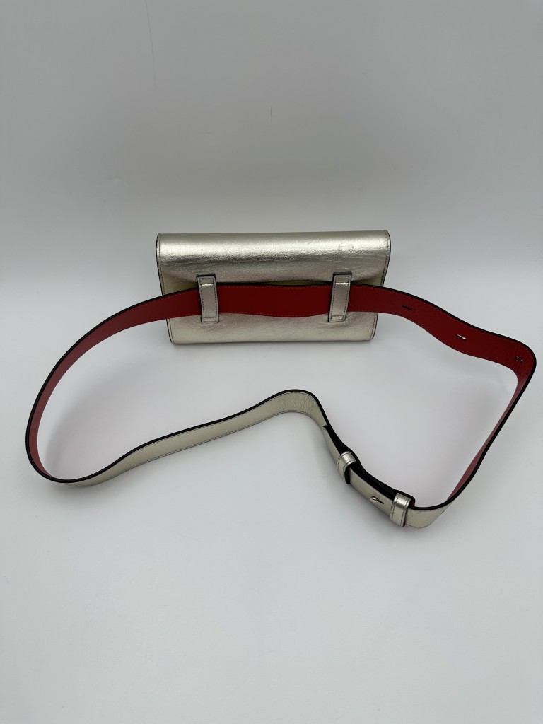 clutch/ waist bag