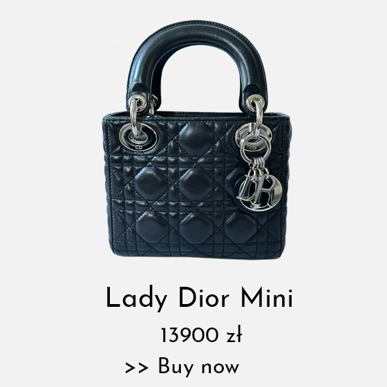 lady dior mini